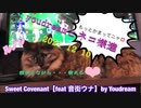 ネコ様達の日常 2021 12 10