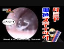 【イヤースコープASMR】タミヤ調色スティックでこりこり掻く/本物耳かき音 Real Ear Cleaning Sound /SONY ECM-CS3 /no talking