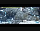 【新米女神の開墾譚】天穂のサクナヒメ part19