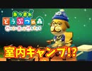 【あつまれ どうぶつの森 ハッピーホームパラダイス実況】キャンプ？？OK！任せて！part31【内装編】