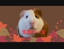 21/12/10（金）覚醒の一言