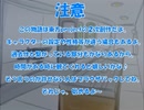 全てを失った付喪神が幻想入り　第四十八張
