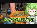 2021年12月10日　農作業日誌　噴霧器で大根楽々洗浄作業なのだ　VOICEVOX解説