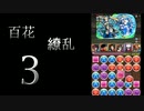 お久しぶりです。【パズドラ  百花繚乱3】