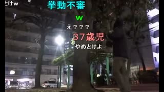 横山緑、木に登ってみた（2014/12/03）