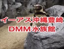 イーアス沖縄豊崎・DMM水族館