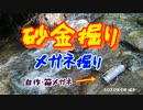 砂金掘り：自作箱メガネ使用