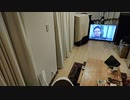 家族で時事放談 457日目　【冬季北京オリンピックの政治的ボイコットへ向け調整】東京オリパラ組織委員の橋本会長のみ出席で年内にも正式発表【米欧と足並みそろえる】