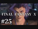 【実況】20年越しに結末を見届けるRPG | FINAL FANTASY Ⅹ | #25