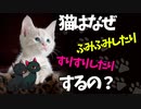 【ゆっくり解説】猫の不思議な行動の理由を解説