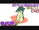 ポケモンに無知な男が【ポケットモンスター金】実況プレイ【12】
