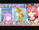 【2021/12/11】ルーナ姫からもらったポニータの現状を伝えるみこち【#ホロライブ切り抜き/さくらみこ/ポケモン】