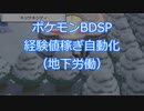 【ポケモンBDSP×Arduino】経験値稼ぎ自動化（地下労働）