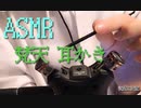 「ASMR」梵天で、耳と耳周りをふさふさ耳かきEar with a brush　binaural-[音フェチ]