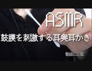 「ASMR 音フェチ」鼓膜を刺激する耳奥に入ってくる耳かき 「声無し・耳かき」