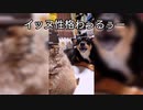 意地悪なイッヌ