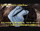 （引きバネ式くくりわなの研究？回ｗ）変態忍者の、有害鳥獣駆除従事活動記・その１８２
