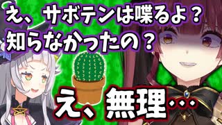 サボテンが喋ることを初めて知り、脳がおかしくなるマリン船長【宝鐘マリン/紫咲シオン/ホロライブ切り抜き】