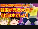 ゆっくり雑談 451回目(2021/12/12) 1989年6月4日は天安門事件の日 済州島四・三事件 保導連盟事件 ライダイハン コピノ コレコレア
