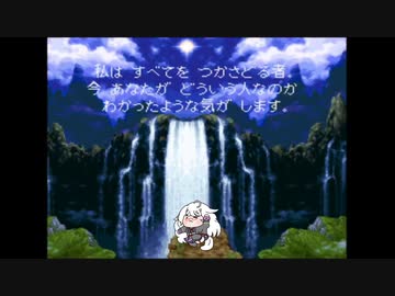 たぬきの性格診断（たぬき）