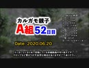 カルガモ親子まとめA組⑨49~64日目【引っ越して、別の場所へ】本編切り抜き