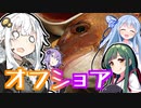 あかりの食材調達日誌 part.11 初オフショア！