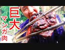 【ぴ】巨大マンガ肉とボアジャーキー作って食べる