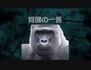 21/12/12（日）覚醒の一言