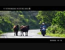 V-STROM250,SUZUKI 2021篇