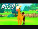 ポケモンコレクターに俺はなる‼～シンオウ編～ #029