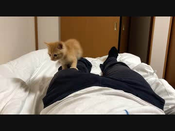 寝させてくれぇ・・・