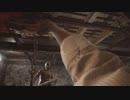 【BIOHAZARD7;resident ebil Z版】適当な雑談プレイ part7