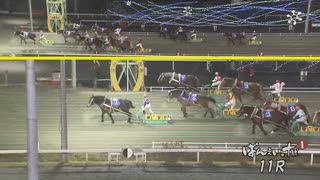 2021年12月12日帯広競馬11R 第38回レディースカップ(準重賞・4歳以上牝馬) シンエイボブ