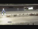 2021年12月12日高知競馬5R こども劇場理事長協賛 高知市こども劇場特別(C3-2組) キャベンディッシュ