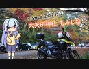 【A.I.VOICE車載】大矢田もみじ谷