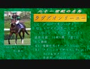 21世紀の名馬　ラヴズオンリーユー