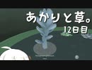 【VIRIDI】あかりと草。12日目【VOICEROID実況】