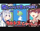 マリン船長にラルトスをプレゼントするかなたんと、ラッキーが強いと知り脳を破壊してでも一軍入りを阻止しようとするマリン船長【宝鐘マリン/天音かなた/ホロライブ切り抜き】