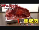 コチュジャンで1ヶ月熟成肉作ってみた Insane Gochujang Dry Age Experiment!!