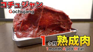 コチュジャンで1ヶ月熟成肉作ってみた Insane Gochujang Dry Age Experiment!!