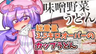 【東方グルメ劇場】「ペヤング幸楽苑ペタマックス味噌野菜うどん」フランとこいしのゆっくりグルメニュース