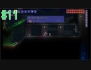 【実況】アクション苦手だけどテラリアやるどー⑪【Terraria】