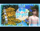 ＃30【シムズ4】南国de行き当たりばったり！【ゆっくり実況】