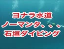 ヨナラ水道ドリフトダイビング・ノーマンタ・アケボノハゼ！