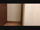 4ch