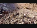 【南房総】海岸線マリウスより愛を込めて①