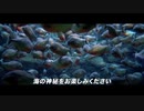 【疑似m@s】Deep,Deep World Z