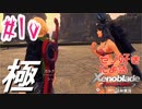 ゼノ好きによるゼノブレイドDEやり込み極プレイ（低レベル縛り）part10【実況】