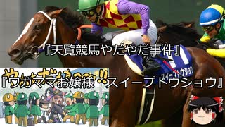 【競馬】ゆっくりさんと未来に語り継ぎたい名馬たち その059【ゆっくり朗読】