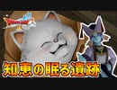 【ドラクエ10】ウェナ諸島に起こる異変！謎を突き止めるために知恵の眠る遺跡へ!!part20